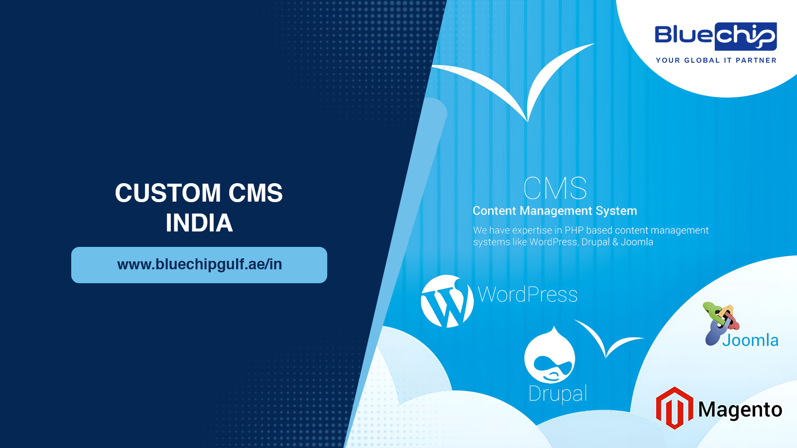 Custom cms